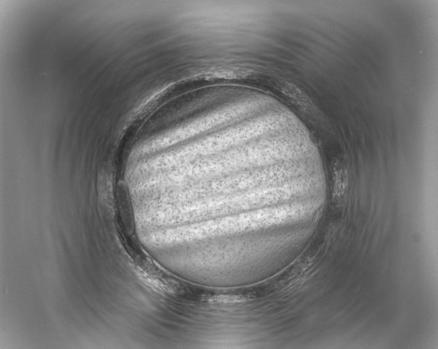 X0000060750444200512011451