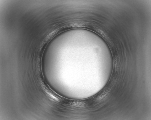 X0000060750445200512011451