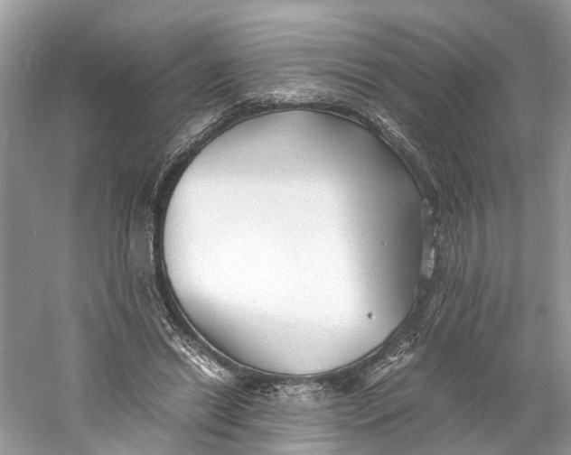 X0000060750446200512011451