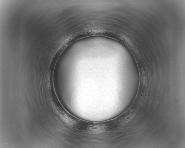 X0000060750447200512011451