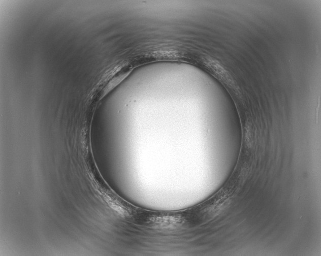 X0000060750449200512011451