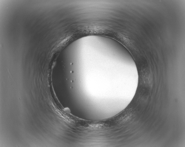 X0000060750450200512011451