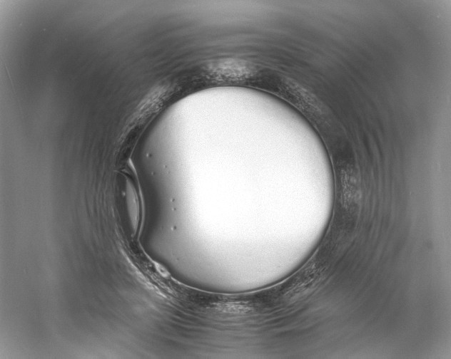 X0000060750451200512011451