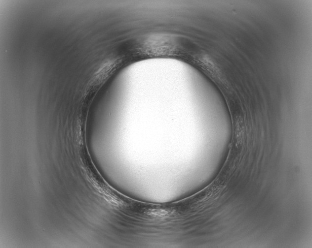 X0000060750453200512011451