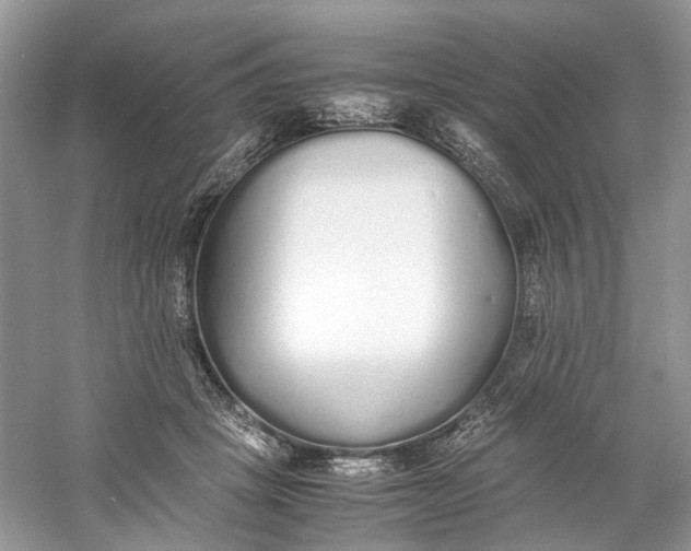 X0000060750457200512011451