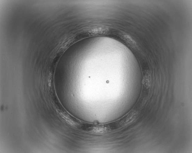 X0000060750458200512011451