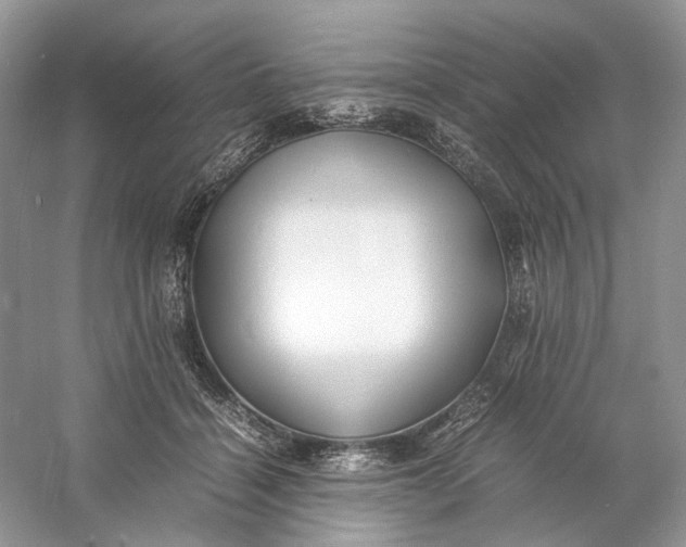 X0000060750460200512011451