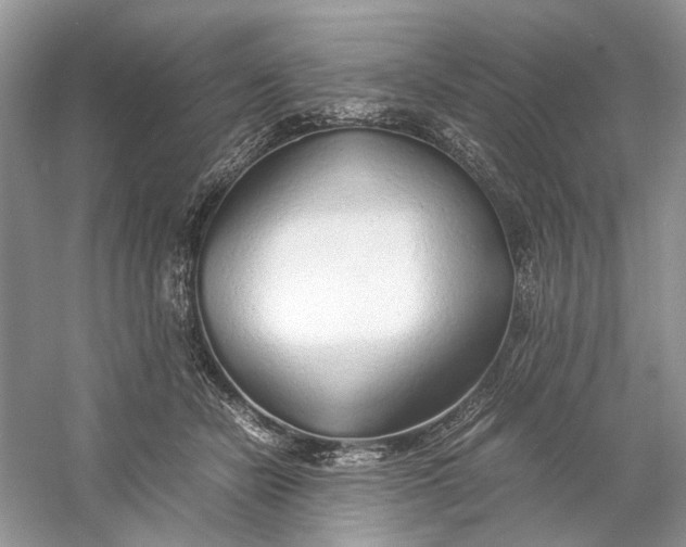 X0000060750462200512011451