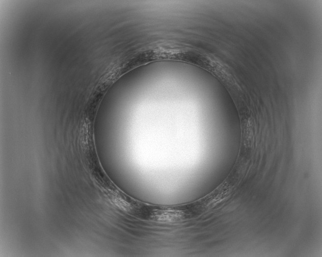 X0000060750463200512011451