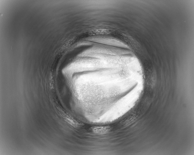 X0000060750465200512011451
