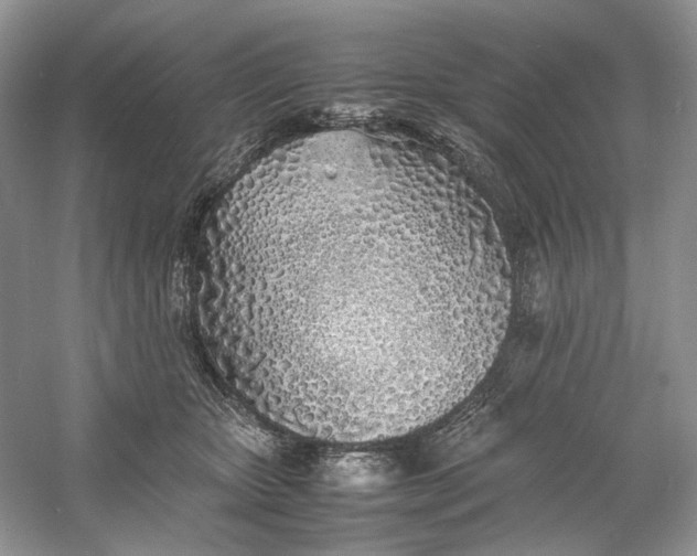 X0000060750467200512011451