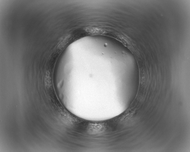 X0000060750469200512011451