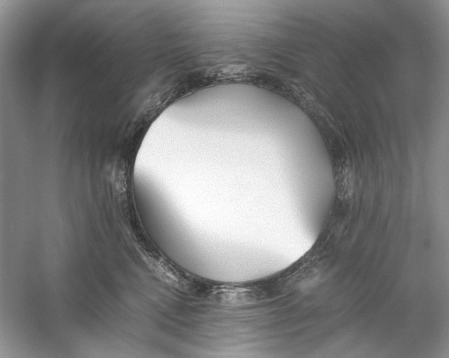 X0000060750472200512011451