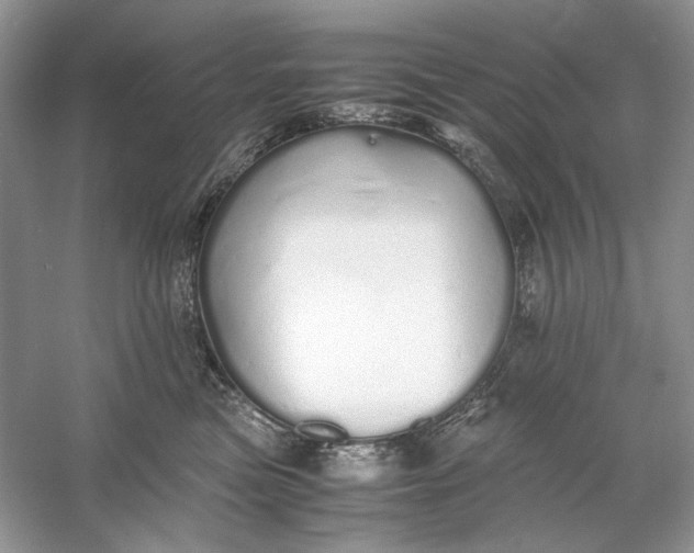 X0000060750473200512011451