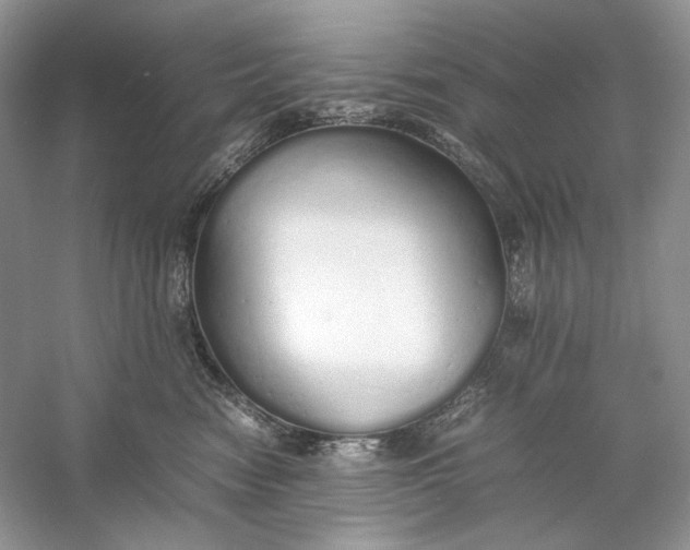 X0000060750474200512011451