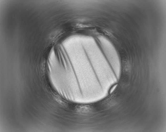 X0000060750475200512011451
