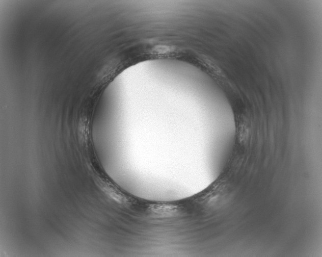X0000060750476200512011451