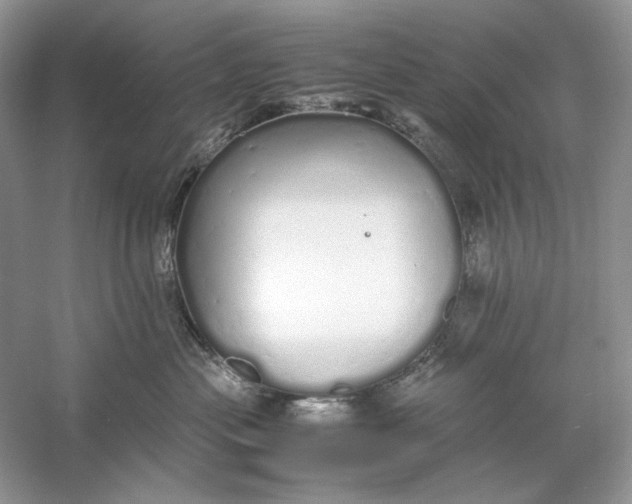 X0000060750477200512011452