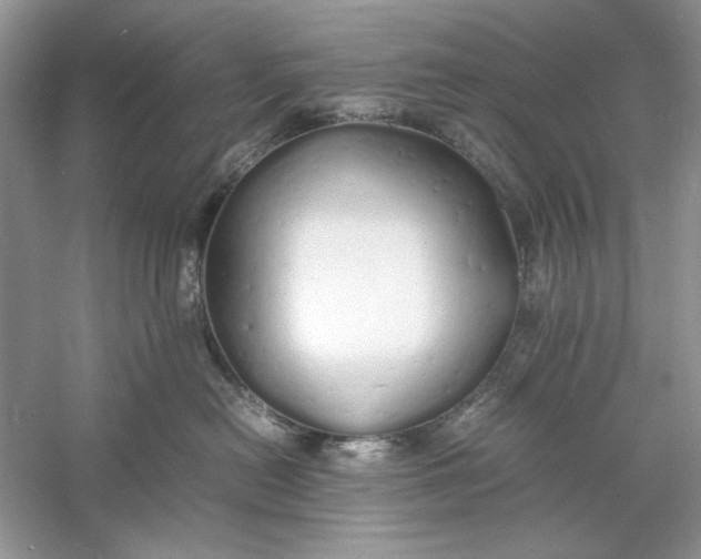 X0000060750478200512011452