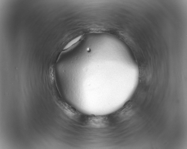 X0000060750479200512011452