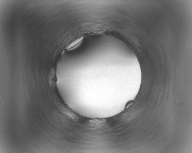 X0000060750480200512011452
