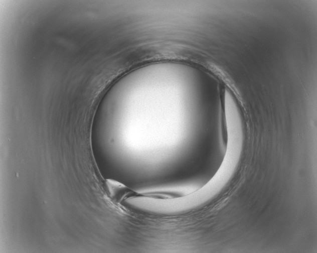 X0000060750481200512011451