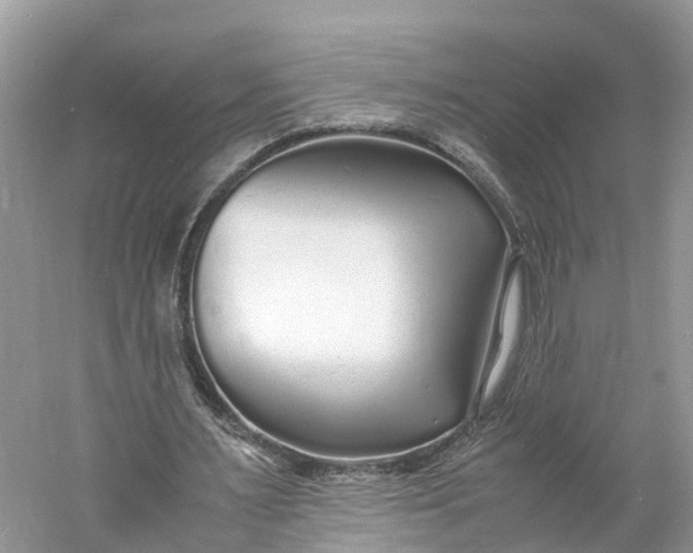 X0000060750483200512011451