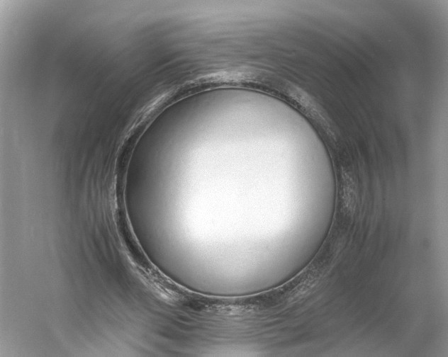 X0000060750486200512011451