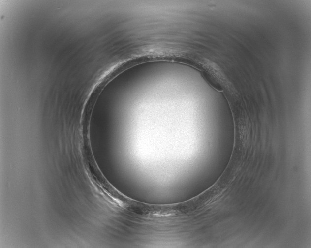 X0000060750488200512011451