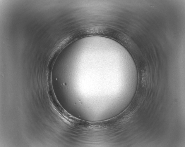 X0000060750490200512011451