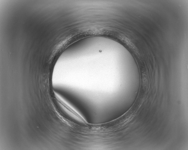 X0000060750493200512011451