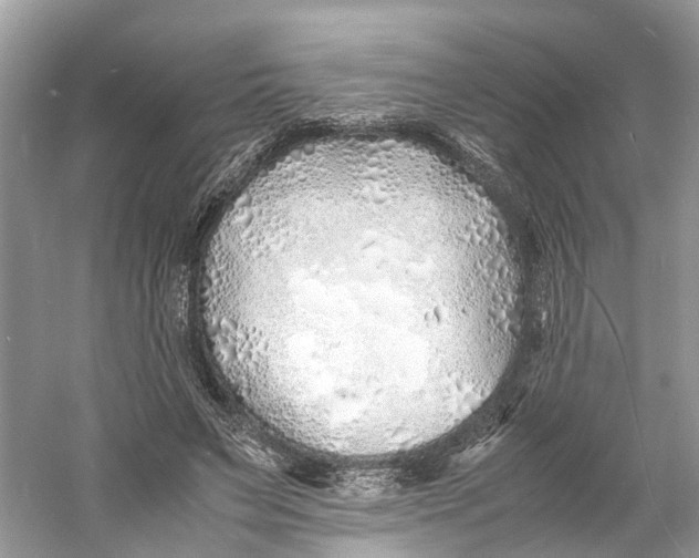 X0000060750495200512011450