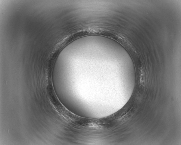X0000060750496200512011450