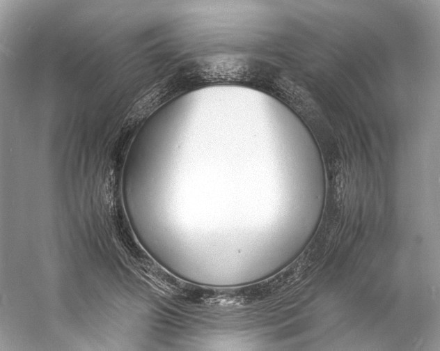 X0000060750498200512011450