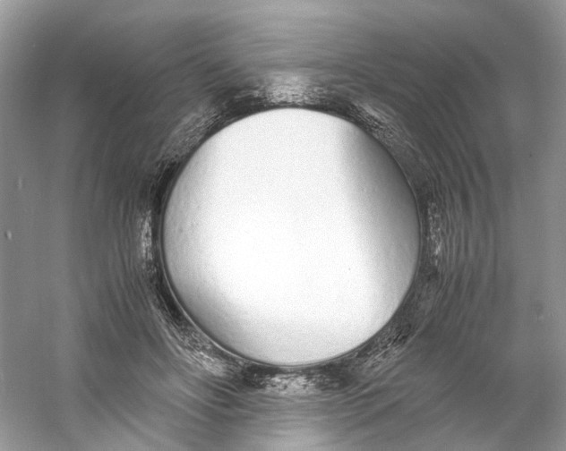 X0000060750502200512011450