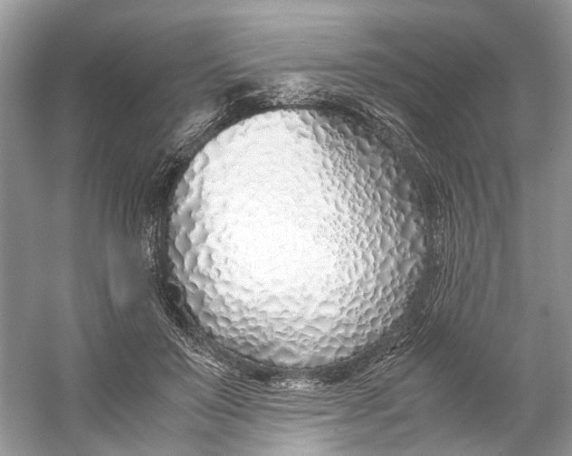 X0000060750503200512011450