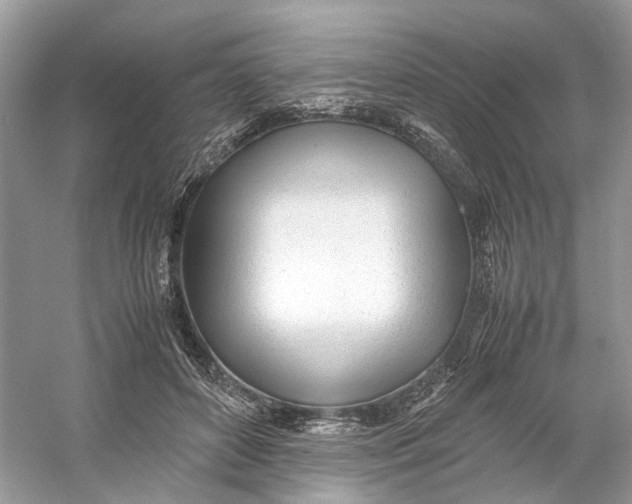 X0000060750504200512011450