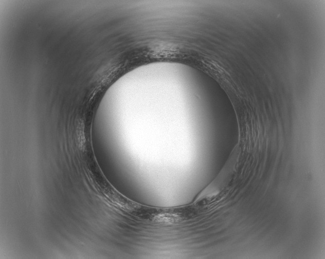 X0000060750508200512011450