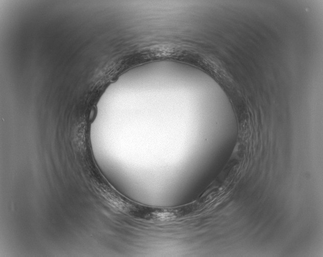 X0000060750509200512011450