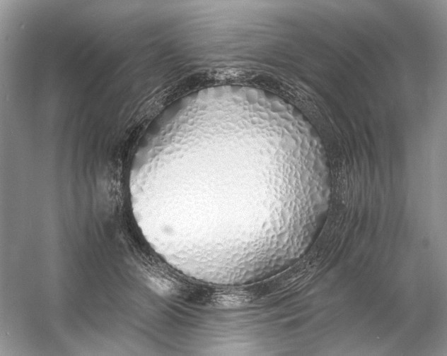X0000060750510200512011450