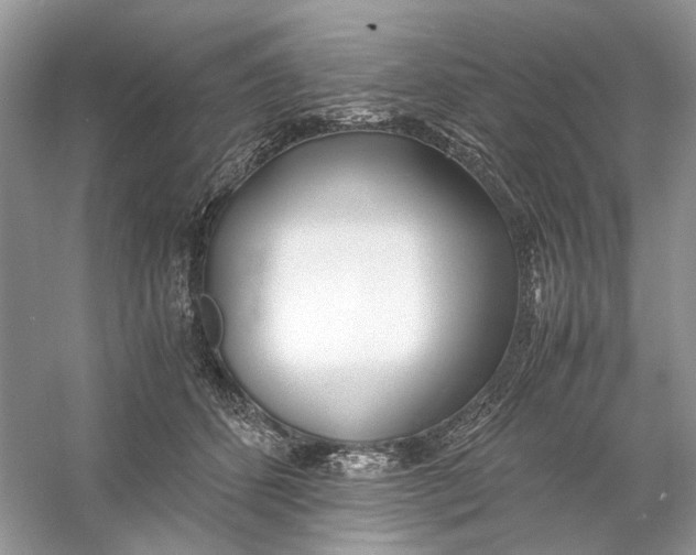 X0000060750512200512011450