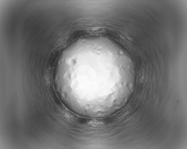 X0000060750515200512011450