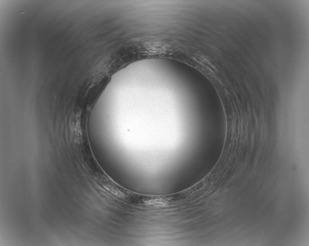 X0000060750516200512011450