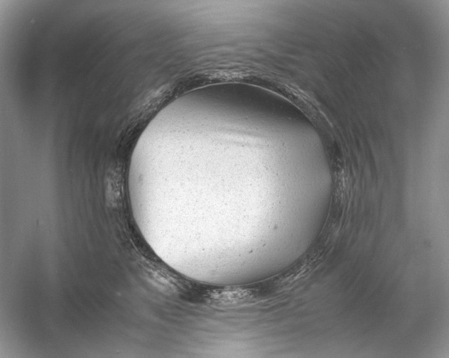 X0000060750517200512011450