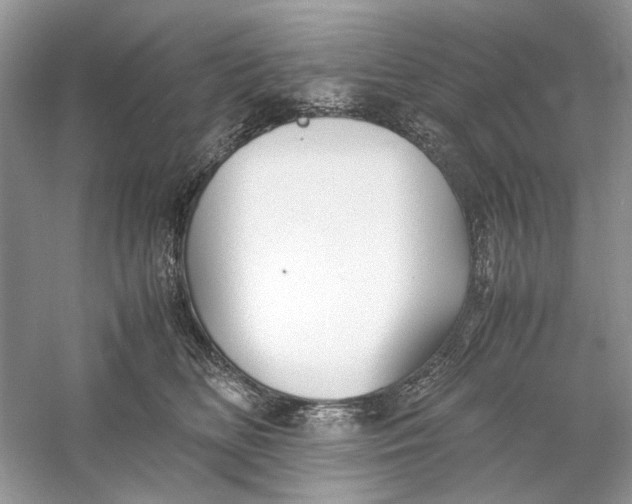 X0000060750518200512011450