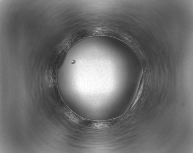 X0000060750520200512011450