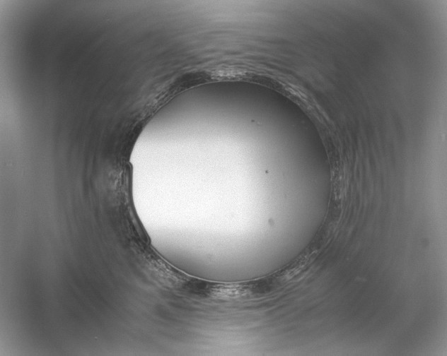 X0000060750521200512011450