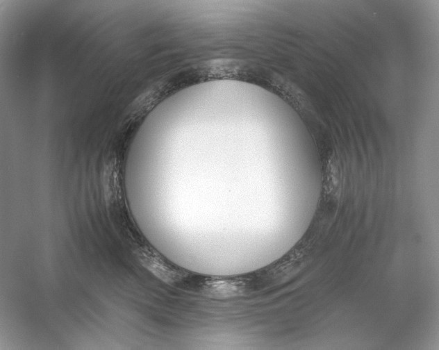 X0000060750522200512011450