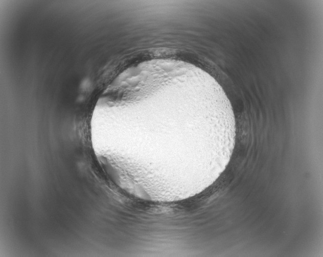 X0000060750523200512011450