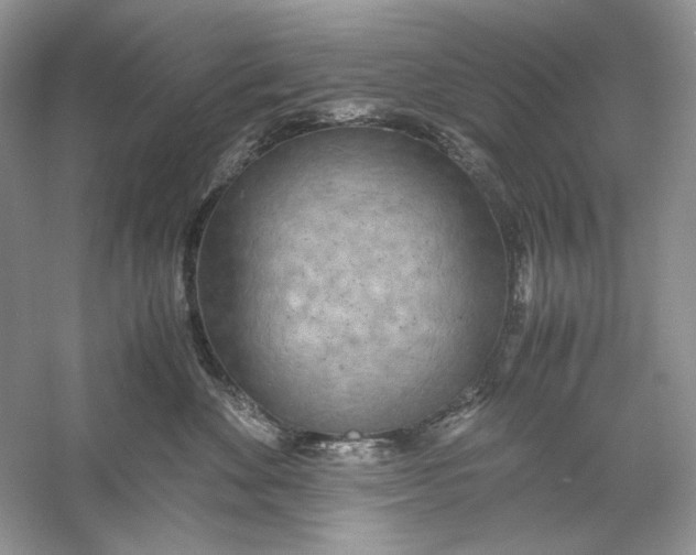 X0000060750524200512011450